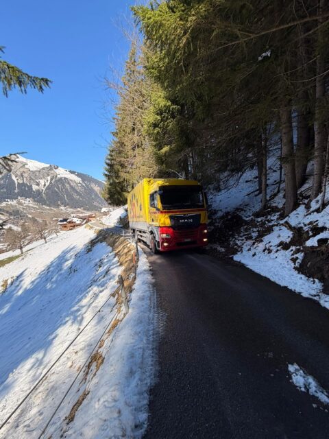 #Länk#dänk#truckerlife#mangoldelefant🐘