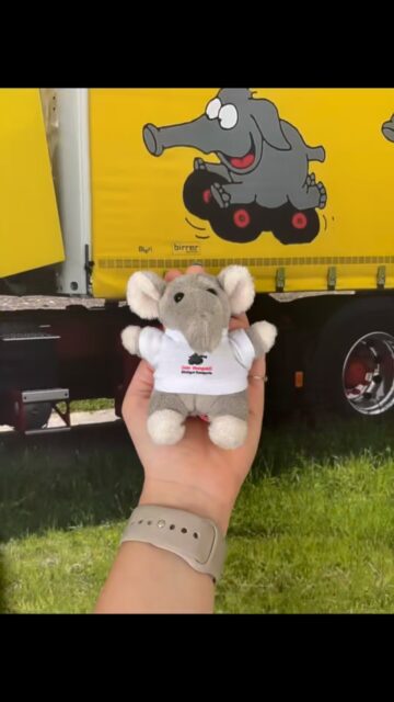 Unser Elefäntli wünscht euch allen ein erholsames Wochenende! 🐘🌞
#gebrmangoldag #elefäntli #transportundlogistik